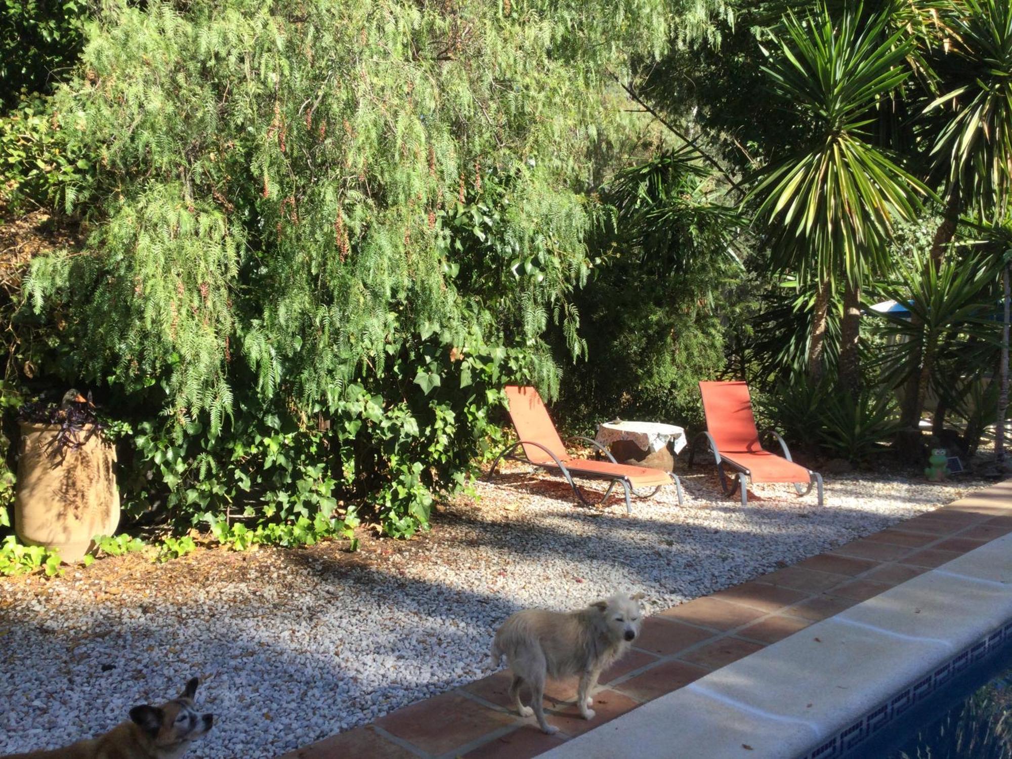 El Rio, 2 Self Catering With Pool And Hydrotherapy Jacuzzi. Apartment Málaga